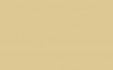 RAL 1000 GRUENBEIGE