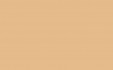 RAL 1001 BEIGE
