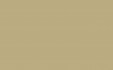 RAL 1040 LEHMBEIGE