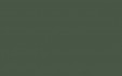 RAL 6031 BRONZEGRUEN