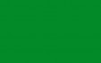 RAL 6037 REINGRUN
