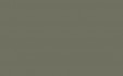 RAL 7003 MOOSGRAU